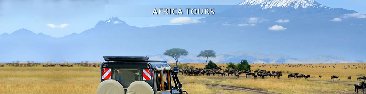 Adventures by Disney: Africa Tours