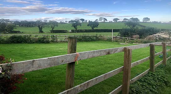 Mystical Ireland