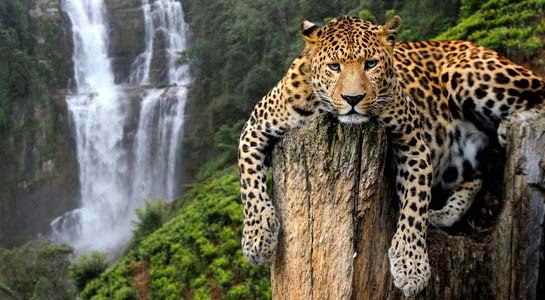 Best of South Africa