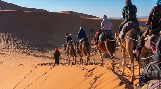 Morocco Family Journey: Ancient Souks To Sahara