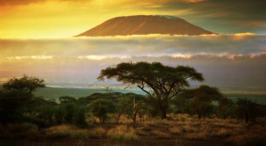 Kenya and Tanzania Tours