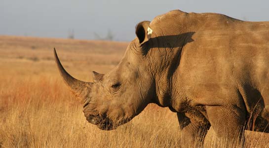South Africa - Private Adventure