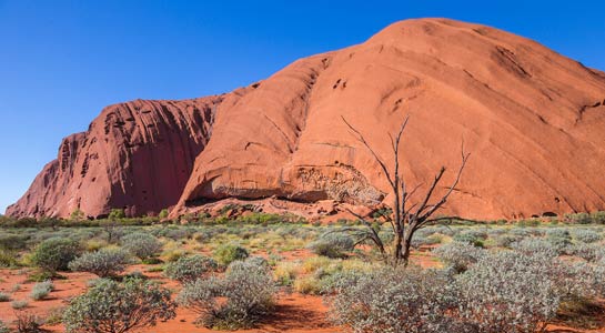 Down Under Discovery