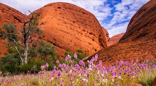 Highlights of Australia and New Zealand