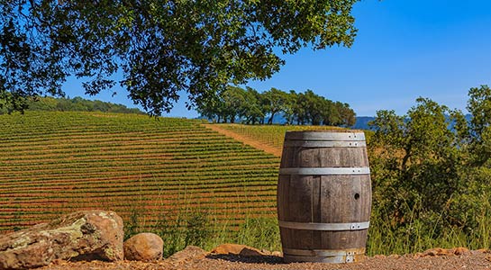 California Dreamin': Northern California By Design