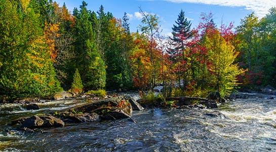 Mad About Mounties: Eastern Canada by Design