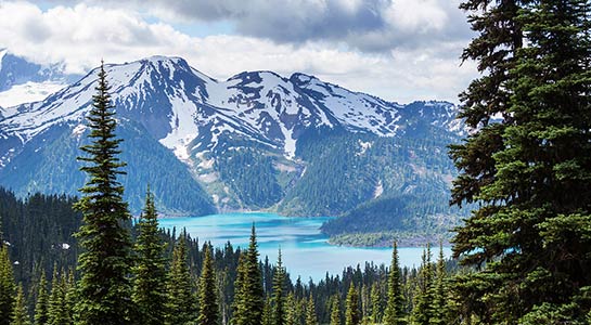 From the Top: Western Canada by Design