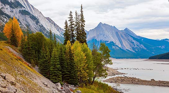 Wonders of the Canadian Rockies