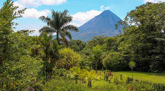 Wellness Costa Rica