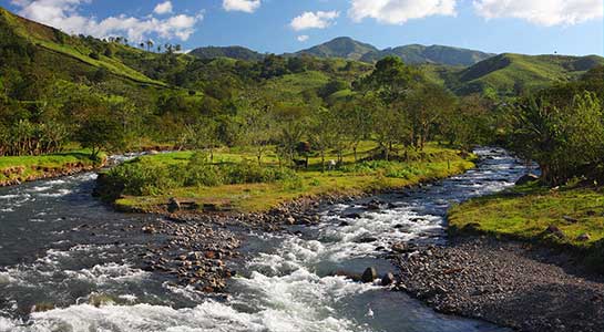 Costa Rica Family Journey: Rainforest To Coast