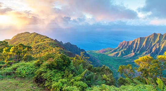 Best of the Hawaiian Islands