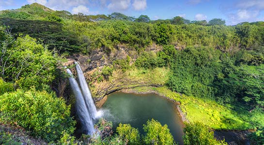 Grand Hawaii Vacation