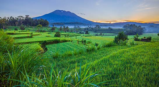 Kingdoms & Dragons: Singapore to Bali