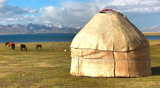 Discover Mongolia