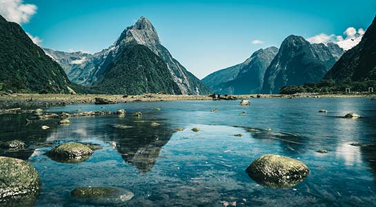 New Zealand Journey