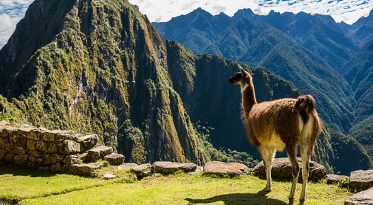 Peru