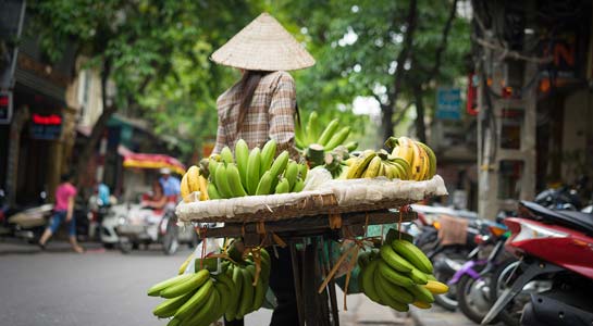 Exploring Vietnam & Cambodia