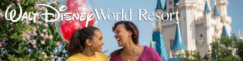 Disney World Resort Package Request