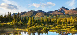 Parque Nacional Denali