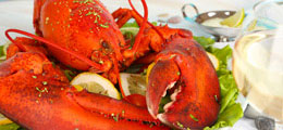 Lobster Bakes