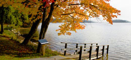 Nature Tours