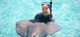 Swimming with Stingrays