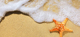 Playas