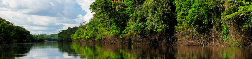 Amazon River