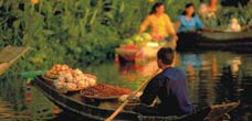Asia Cruise