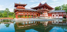 Japan & Far East Cruise