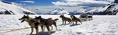 Alaska Cruise