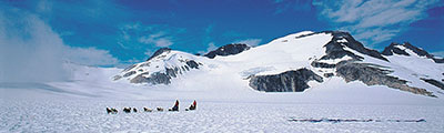 Alaska Cruise