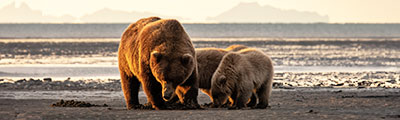 Alaska Cruise