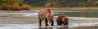 Alaska Cruise