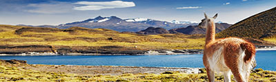 South America Cruise