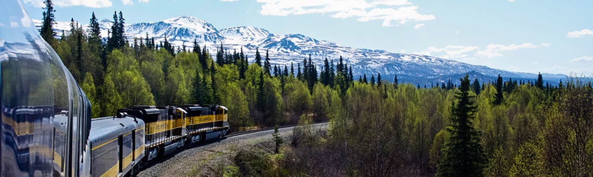 cruise 888 Alaska Cruise Tours