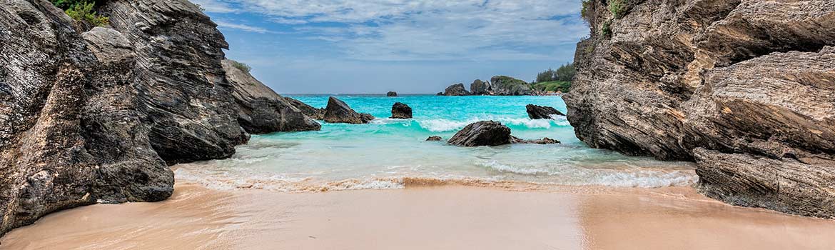 cruise 888 Bermuda Cruise Deals