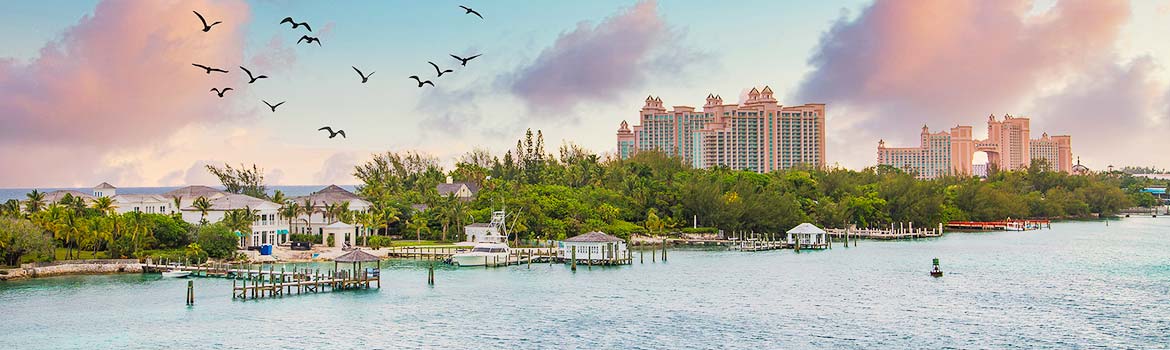 cruise 888 Bahamas Cruise Deals