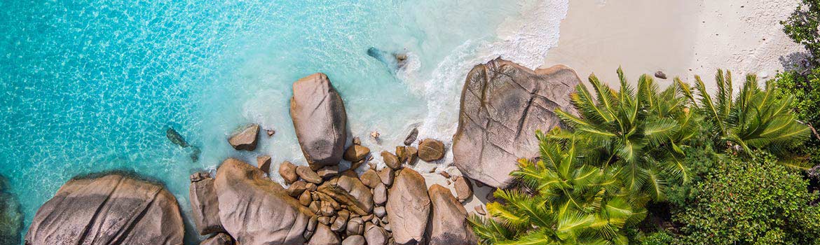 cruise 888 Caribbean Cruise Deals