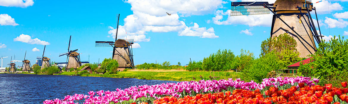 cruise 888 World Cruise Deals