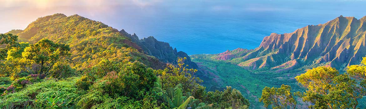 Hawaii Cruise Deals