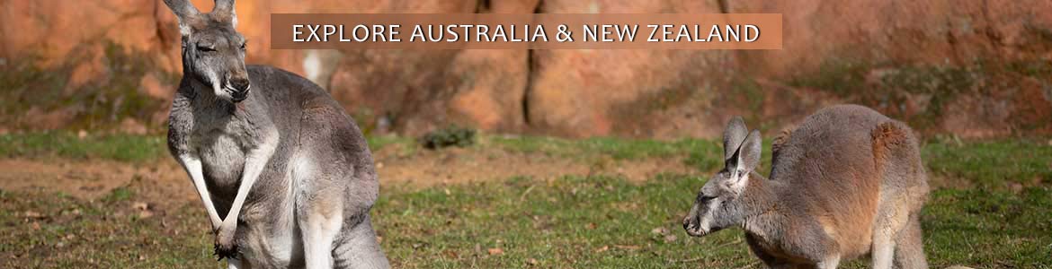Cosmos: Explore Australia & New Zealand Tours