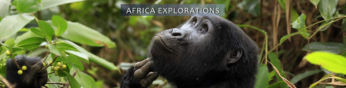 G Adventures: Africa Explorations