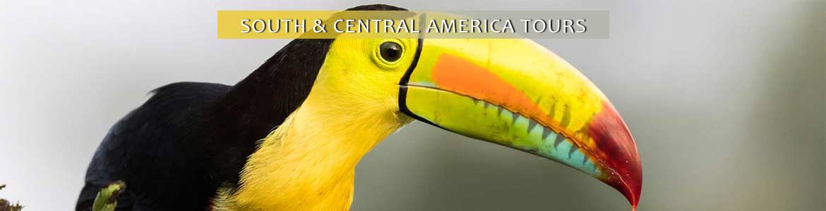 Trafalgar Tours: South & Central America Tours